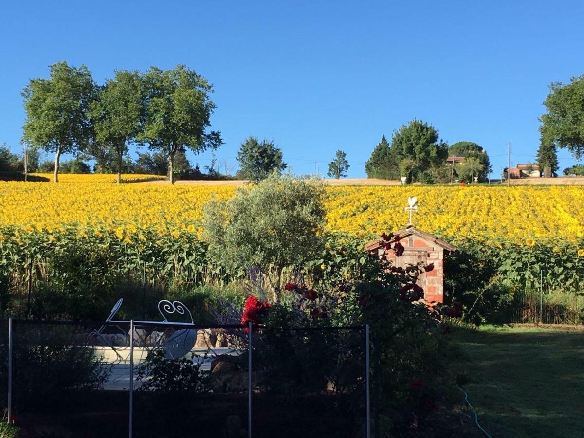 Le Mas De Briquepierre Bed & Breakfast Caraman ภายนอก รูปภาพ